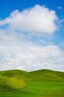 USA-Washington State-Palouse Region-Patterns in the fields of fresh green Spring wheat Art Print